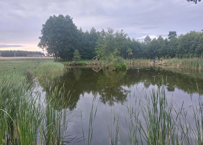 アパート Siedlisko Pod Bocianim Gniazdem